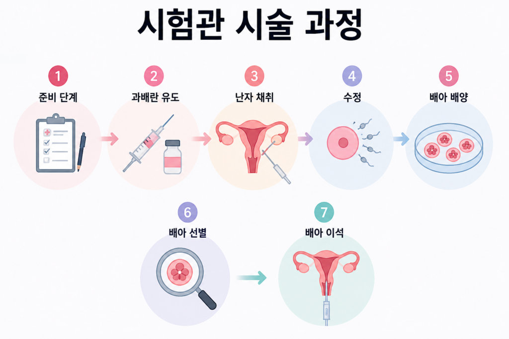 시험관 시술 과정 단계 설명 IVF 과정